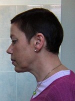 Den gyldne kastanje